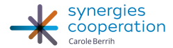 Synergies logo